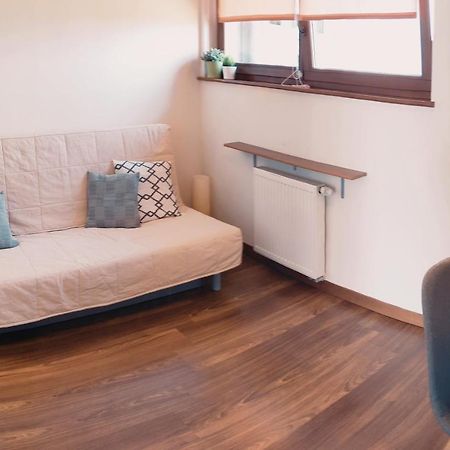 Apartament Beskidzki Relax Ustron Bagian luar foto